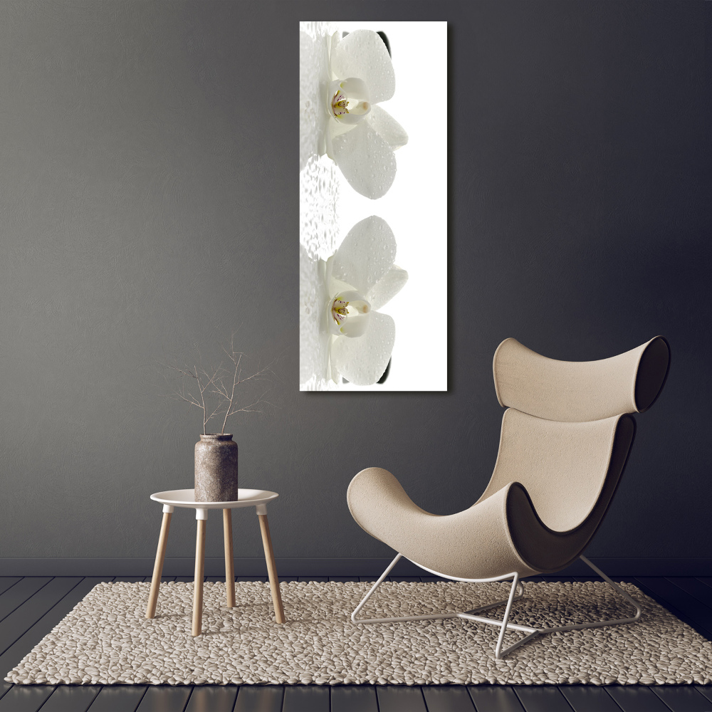 Tableau photo sur verre Orchidée et pierres