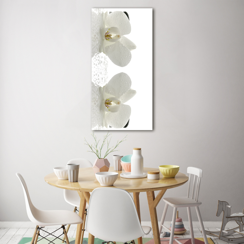 Tableau photo sur verre Orchidée et pierres