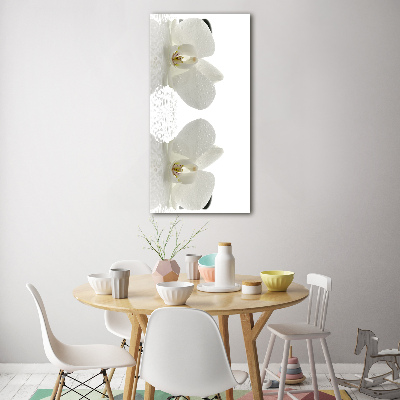 Tableau photo sur verre Orchidée et pierres