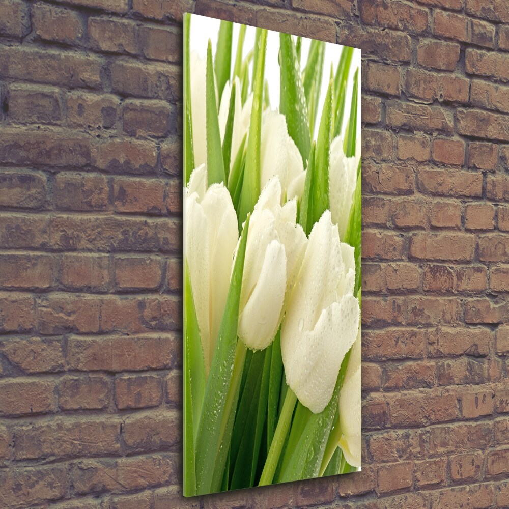 Tableau sur verre Tulipes blanches fleurs