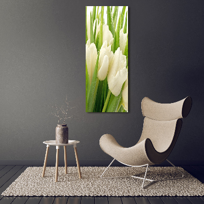 Tableau sur verre Tulipes blanches fleurs