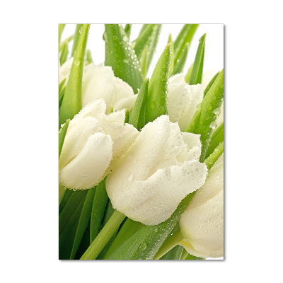 Tableau sur verre Tulipes blanches fleurs