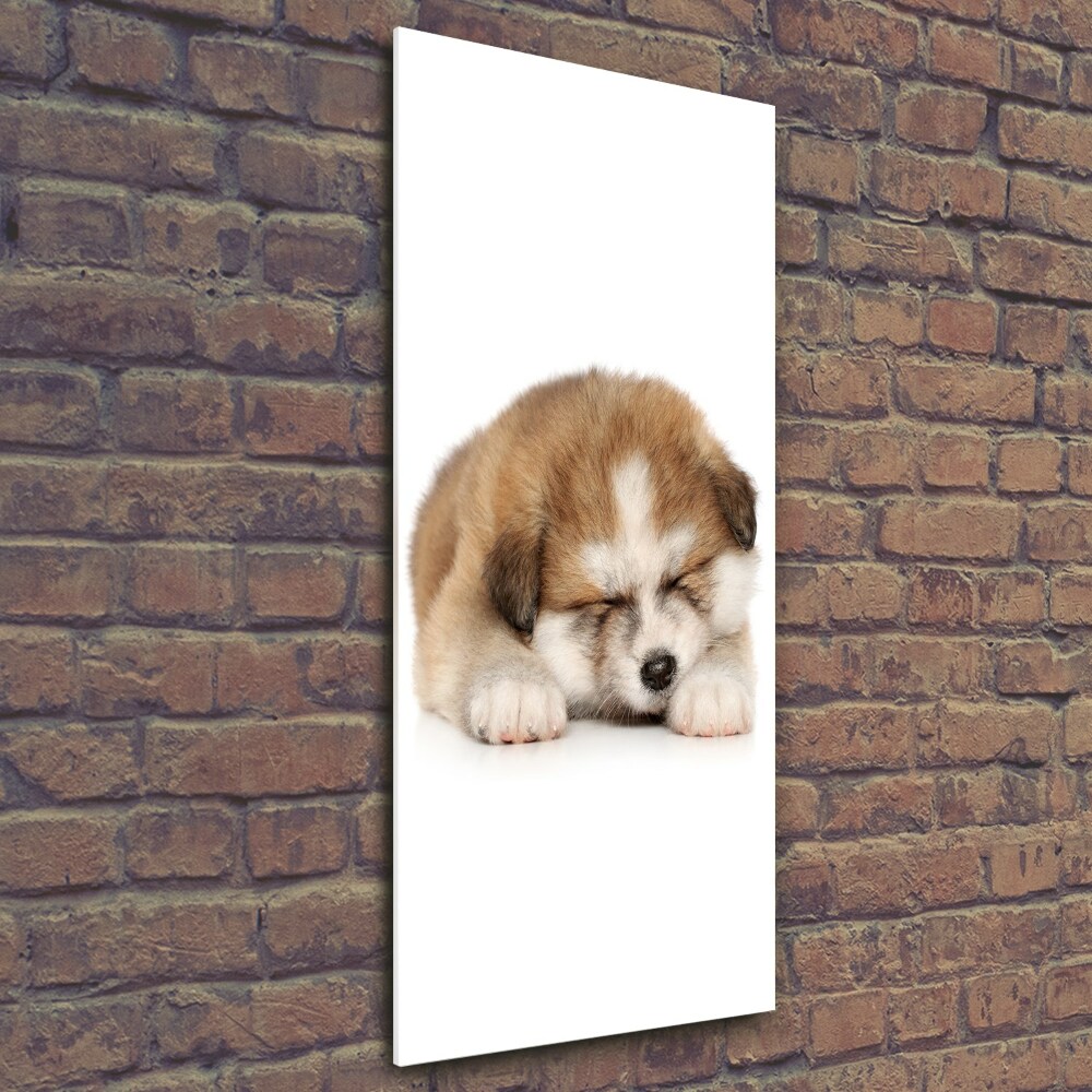 Tableau sur verre Chiot Akita