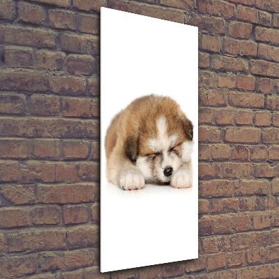 Tableau sur verre Chiot Akita