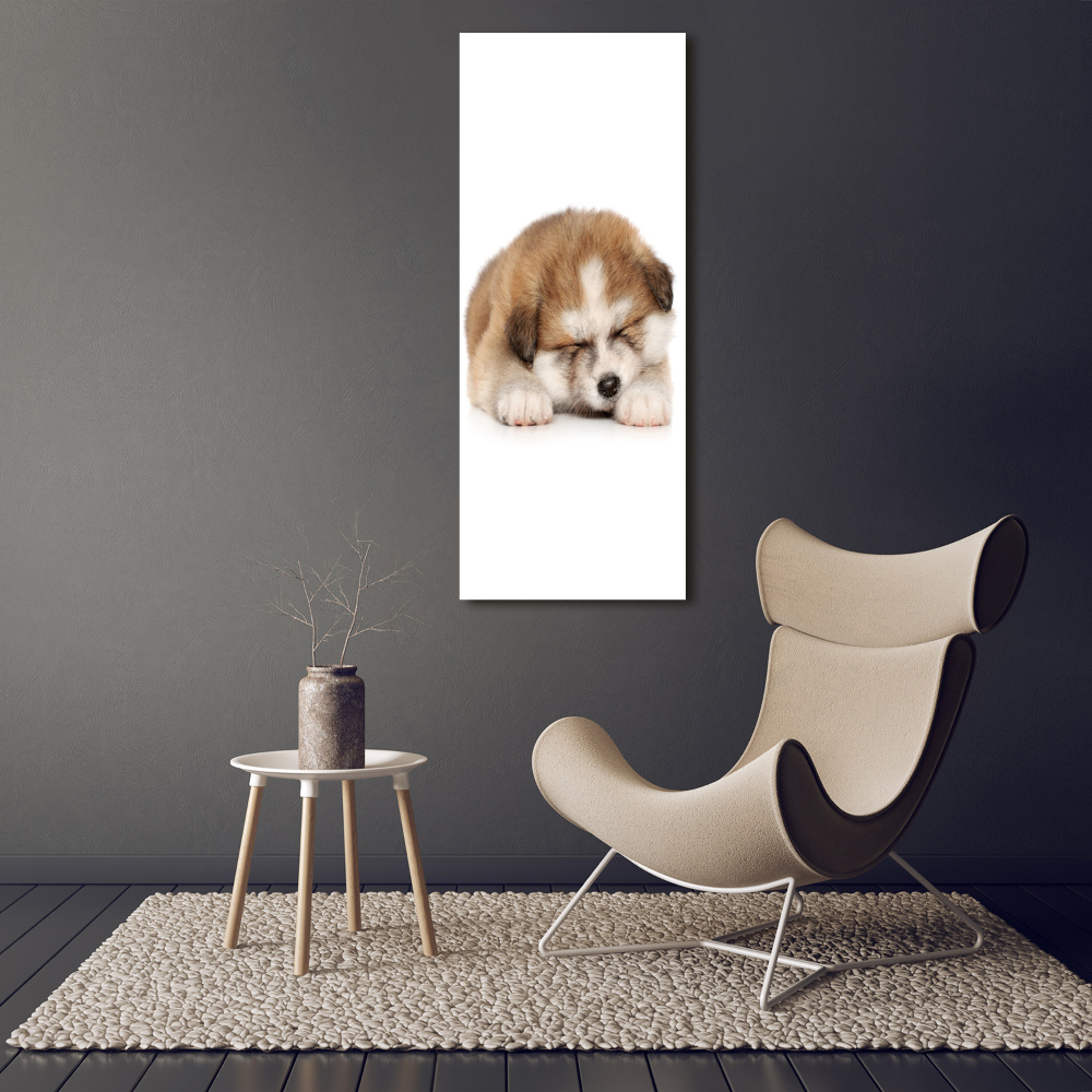 Tableau sur verre Chiot Akita