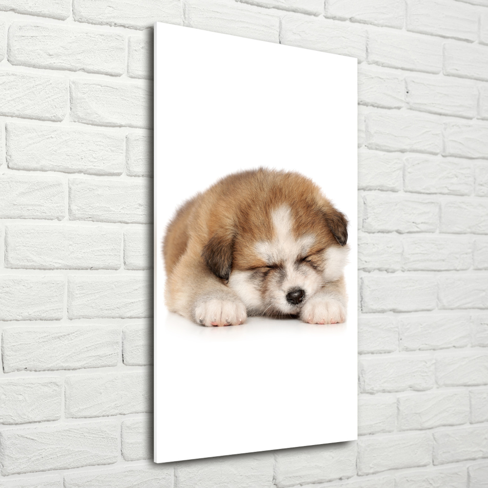 Tableau sur verre Chiot Akita