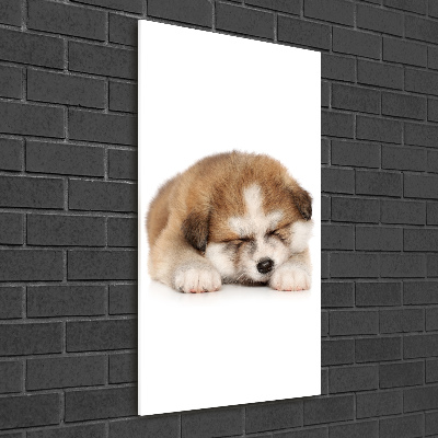 Tableau sur verre Chiot Akita