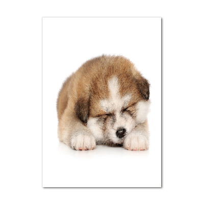 Tableau sur verre Chiot Akita