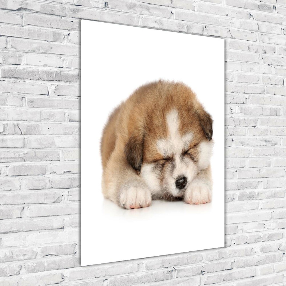 Tableau sur verre Chiot Akita