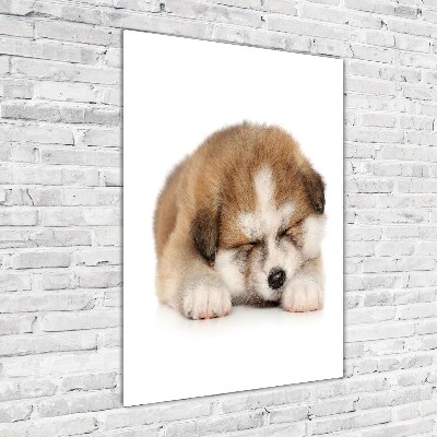 Tableau sur verre Chiot Akita