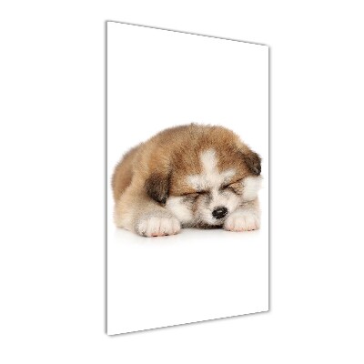 Tableau sur verre Chiot Akita