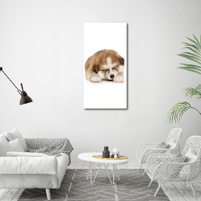 Tableau sur verre Chiot Akita