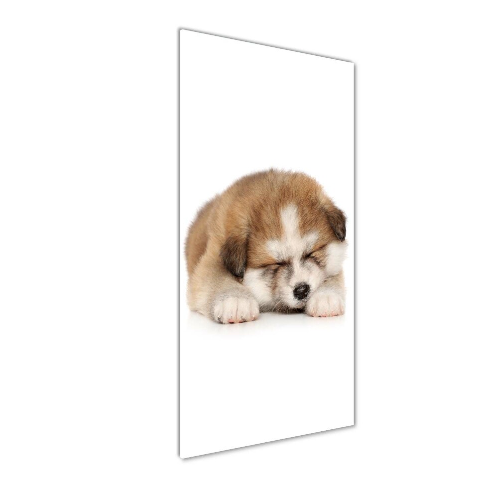 Tableau sur verre Chiot Akita