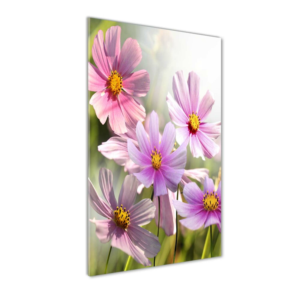 Tableau en verre Fleurs des champs