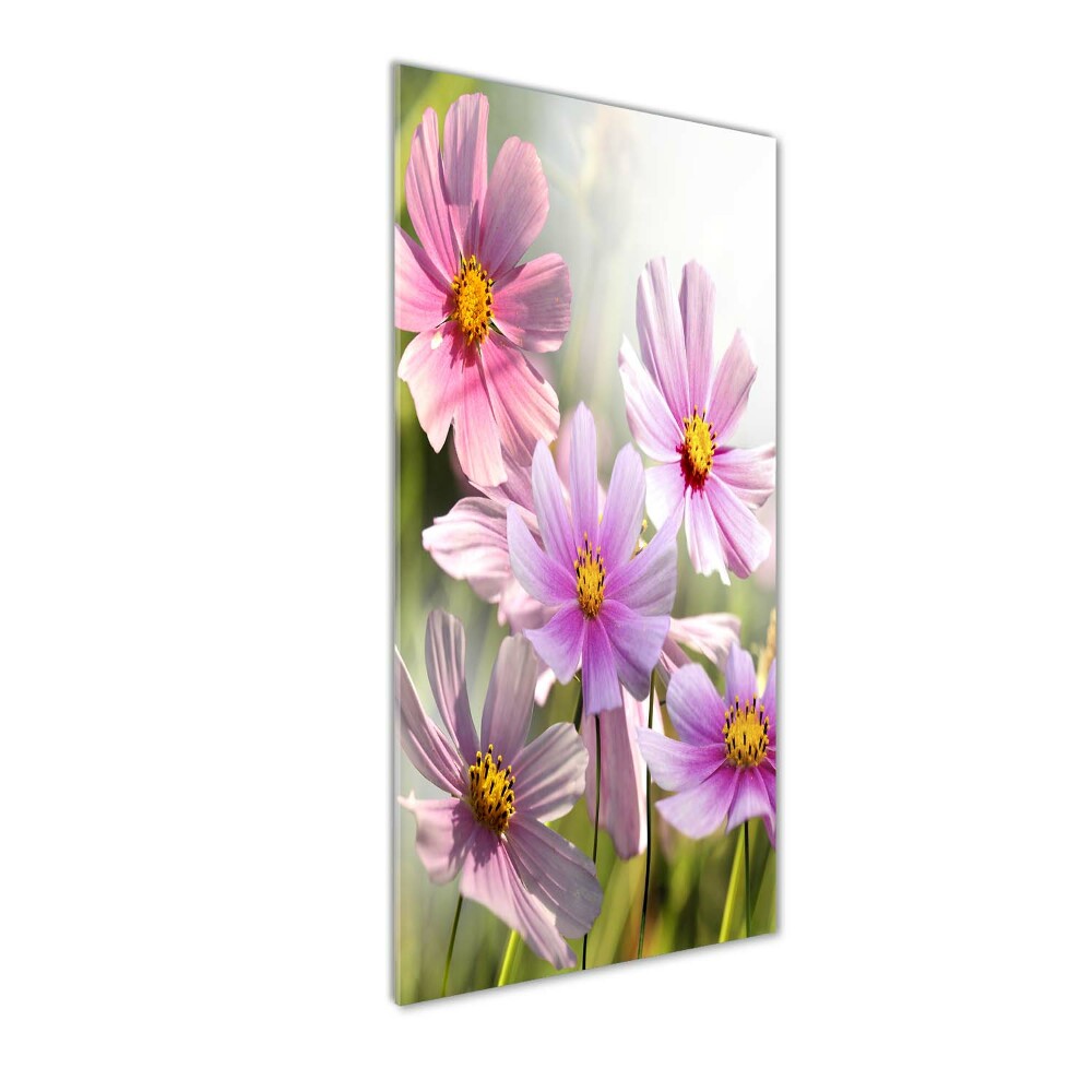 Tableau en verre Fleurs des champs