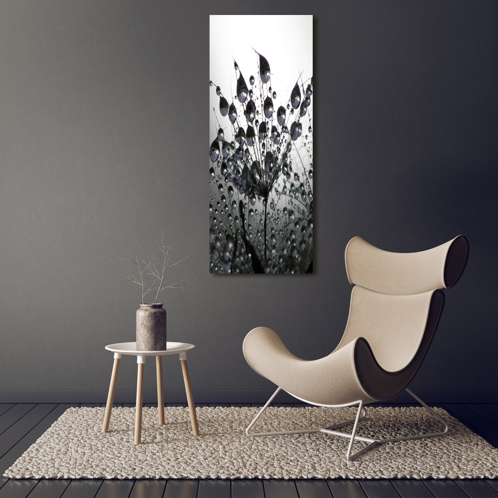 Tableau photo sur verre Graines de pissenlit