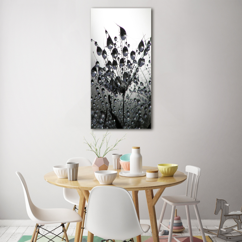 Tableau photo sur verre Graines de pissenlit