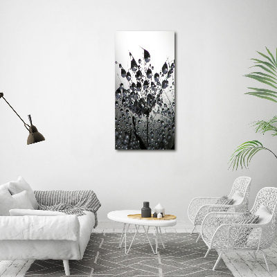 Tableau photo sur verre Graines de pissenlit