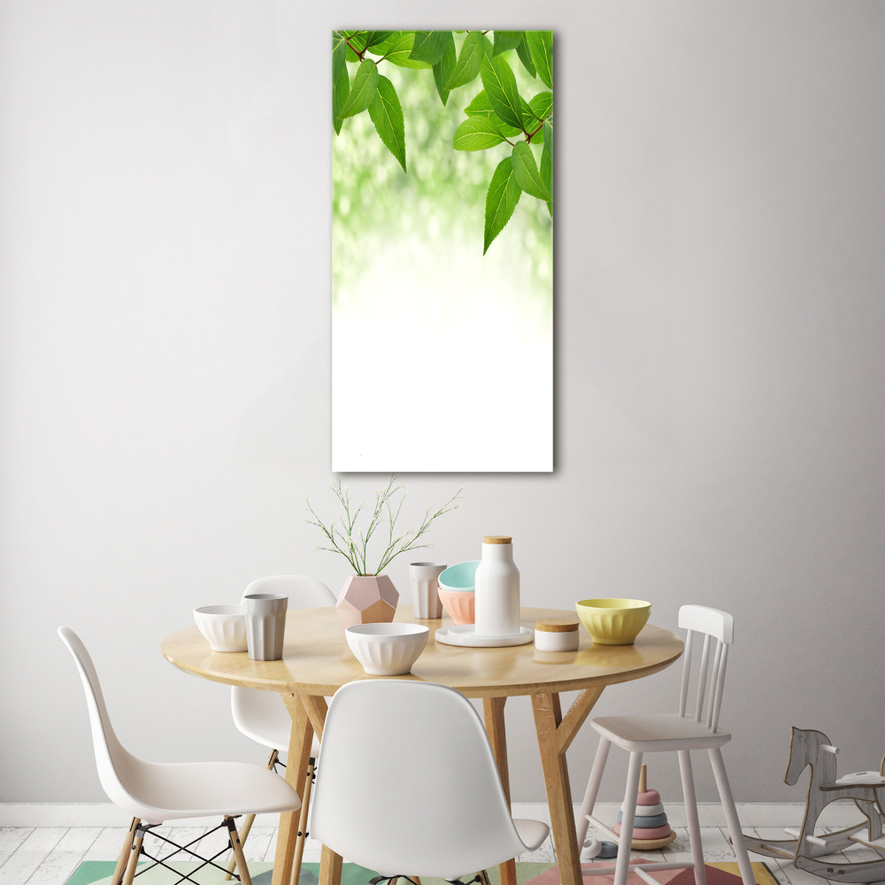 Tableau sur verre Feuilles vertes