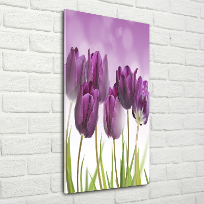 Tableau sur verre Tulipes violettes