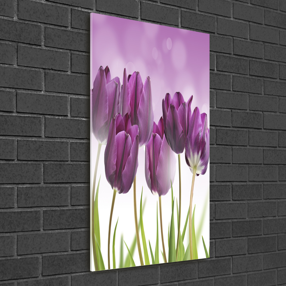 Tableau sur verre Tulipes violettes