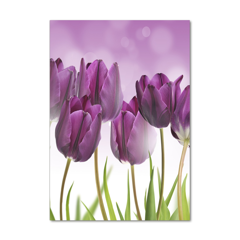 Tableau sur verre Tulipes violettes