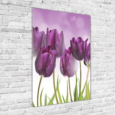 Tableau sur verre Tulipes violettes