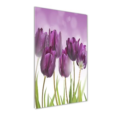 Tableau sur verre Tulipes violettes