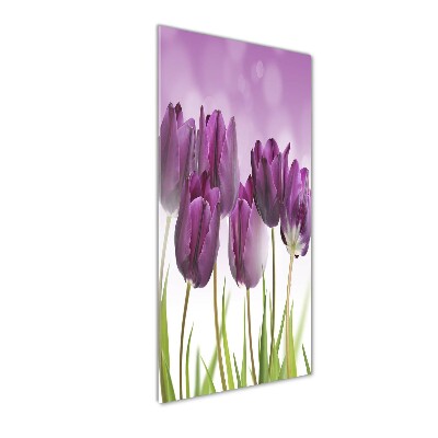 Tableau sur verre Tulipes violettes