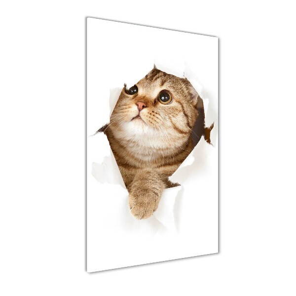 Chat