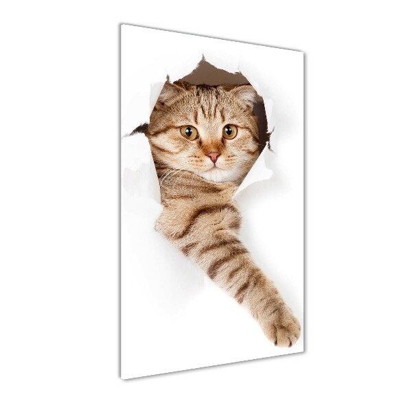 Chat