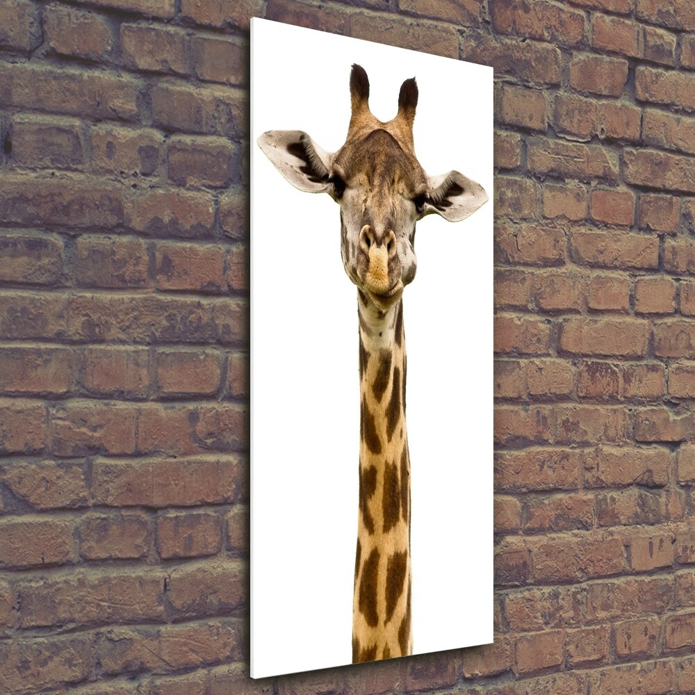 Tableau photo sur verre Girafe