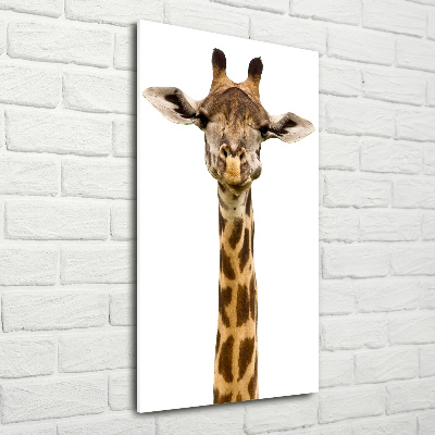 Tableau photo sur verre Girafe