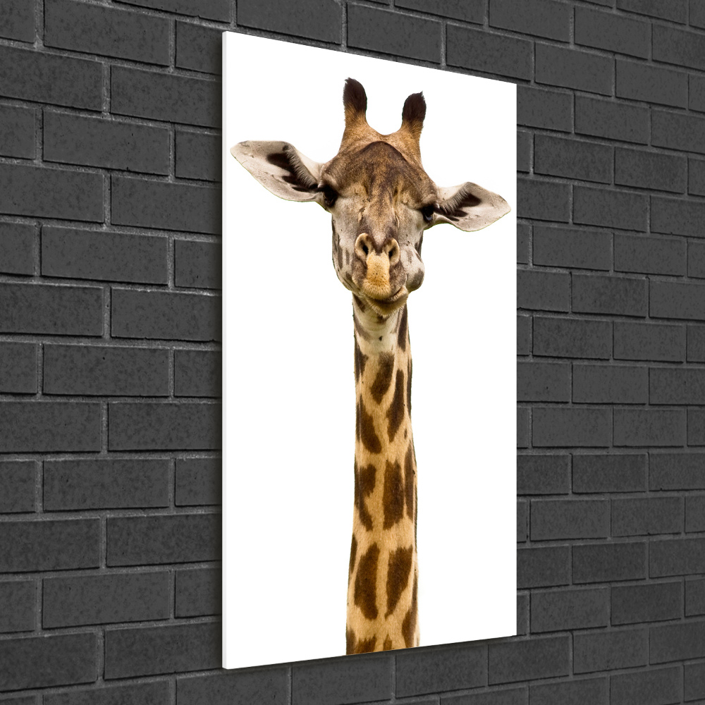 Tableau photo sur verre Girafe