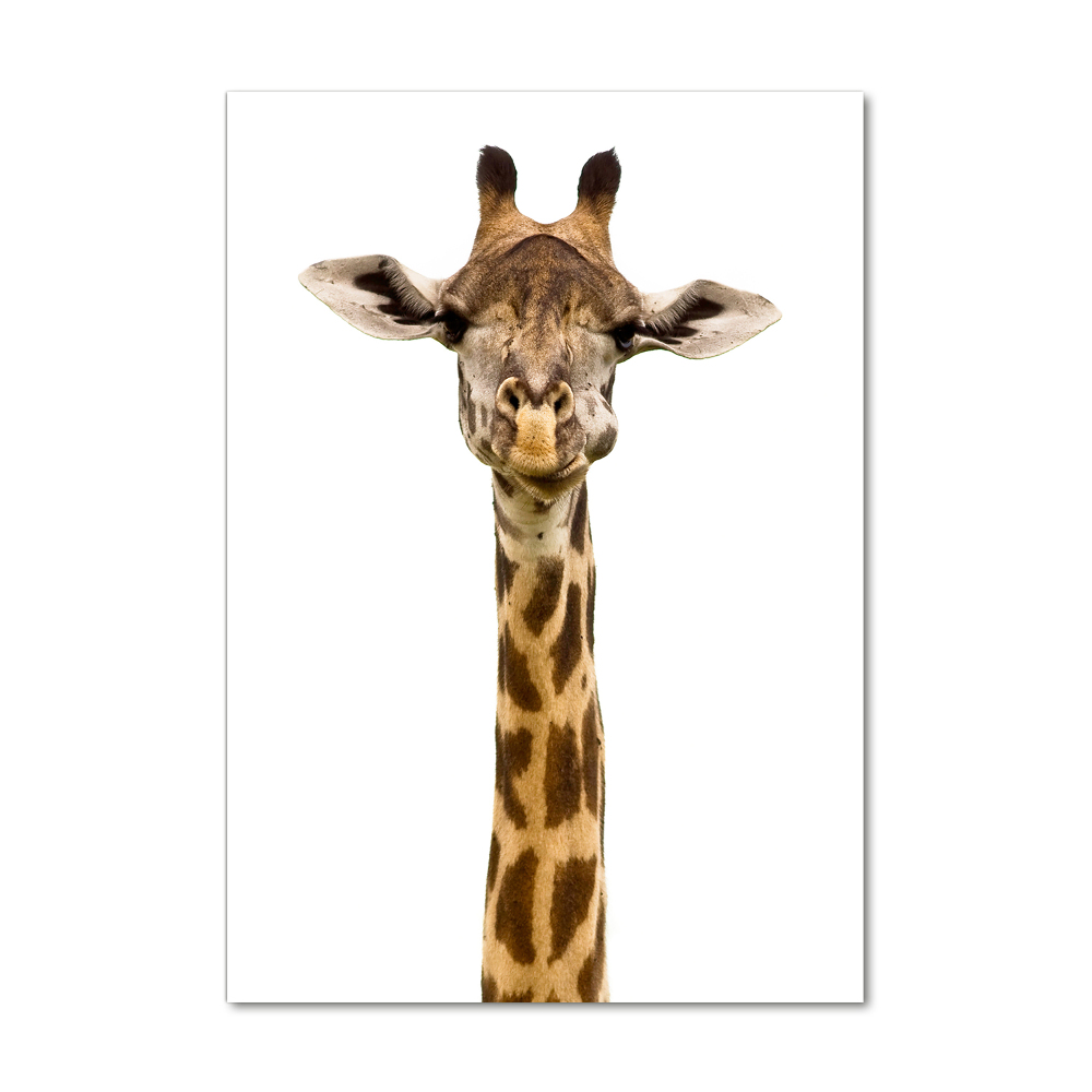 Tableau photo sur verre Girafe