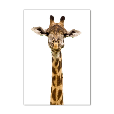 Tableau photo sur verre Girafe