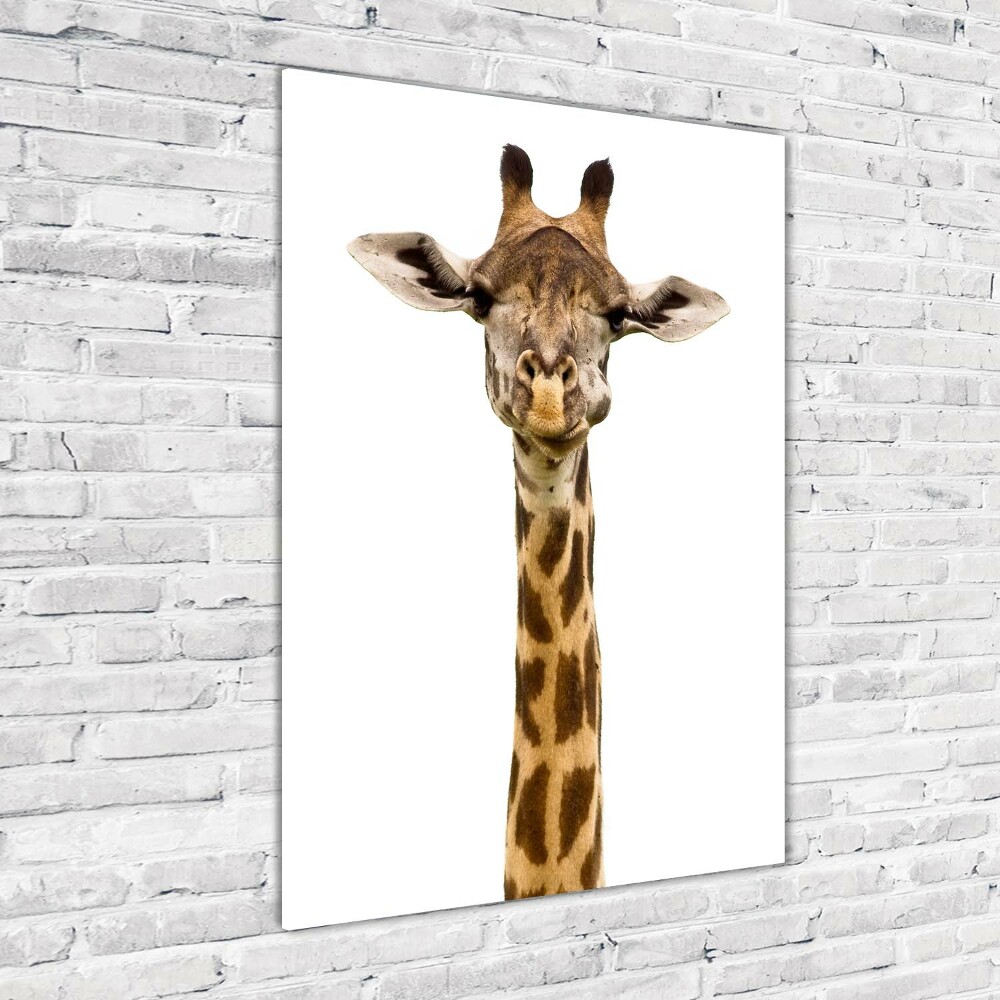 Tableau photo sur verre Girafe