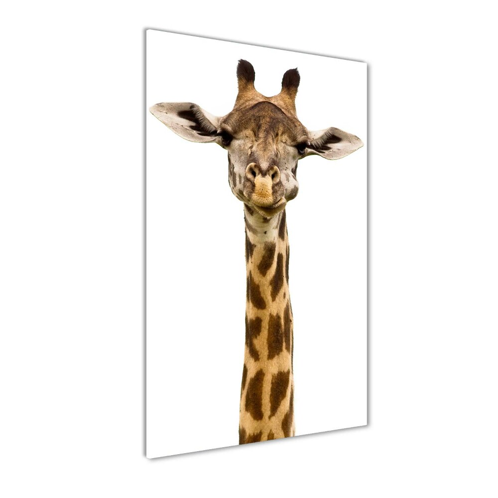 Tableau photo sur verre Girafe