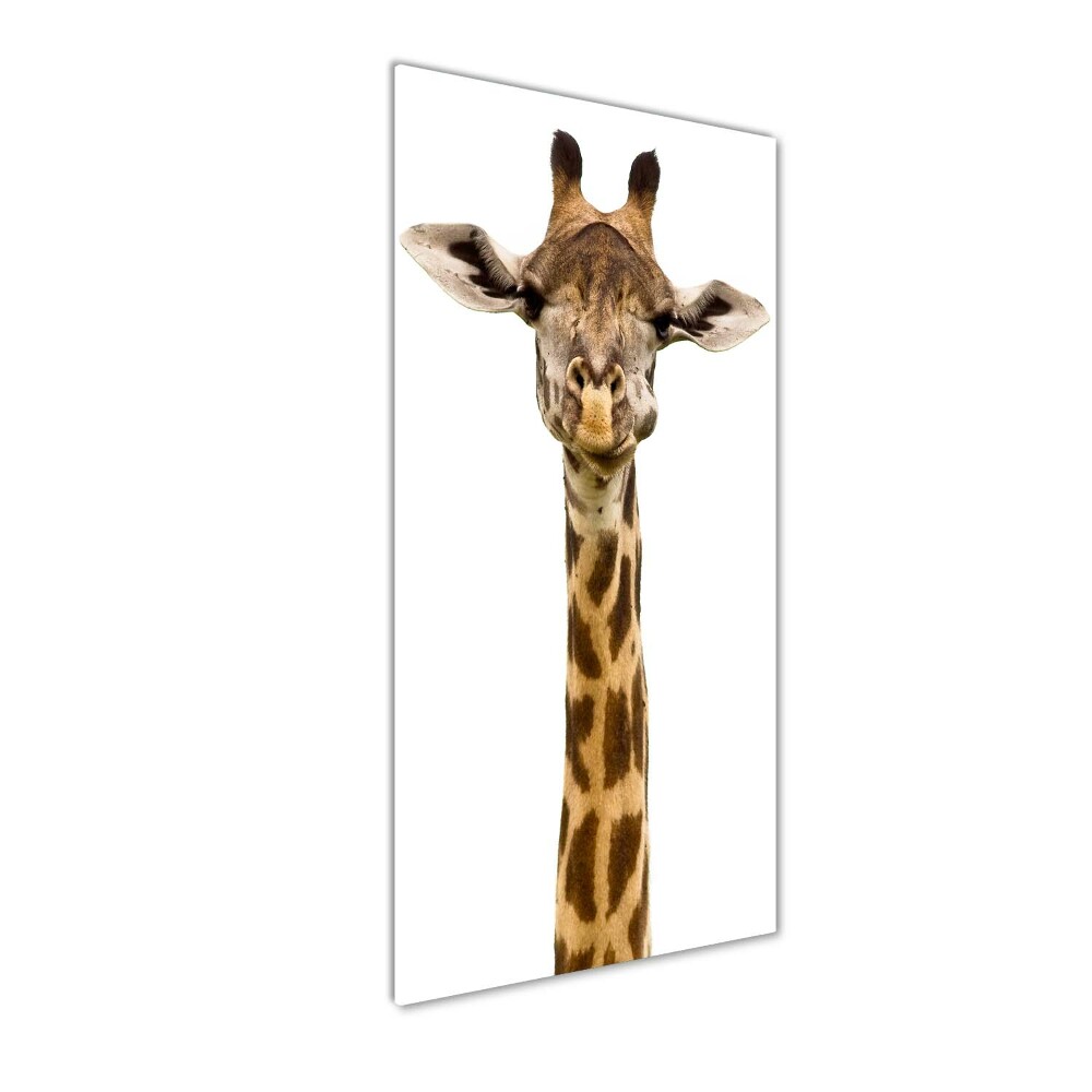 Tableau photo sur verre Girafe