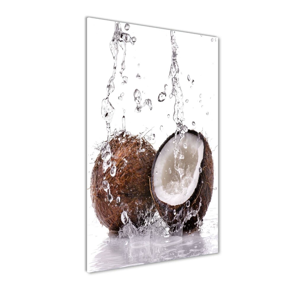 Tableau photo sur verre Noix de coco