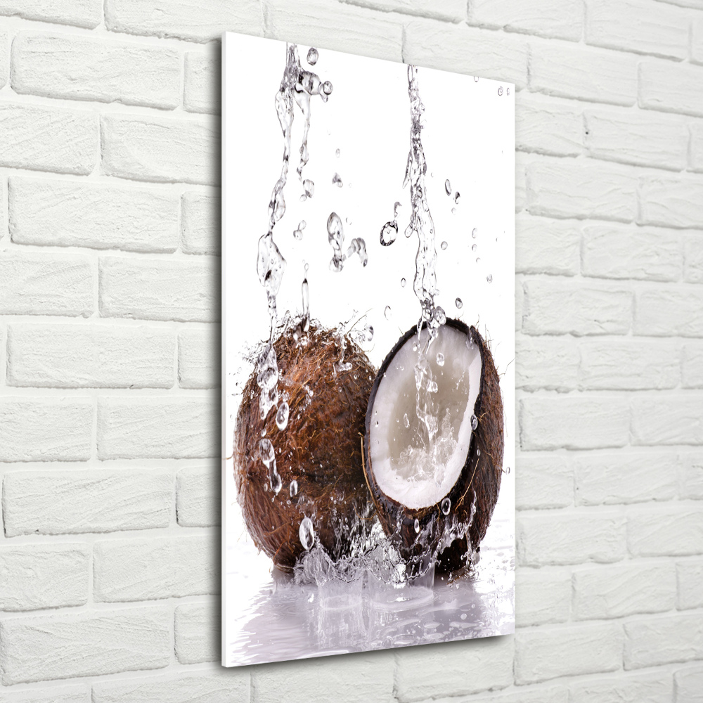 Tableau photo sur verre Noix de coco