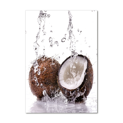 Tableau photo sur verre Noix de coco