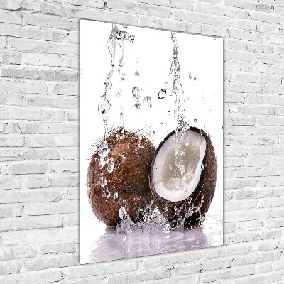 Tableau photo sur verre Noix de coco