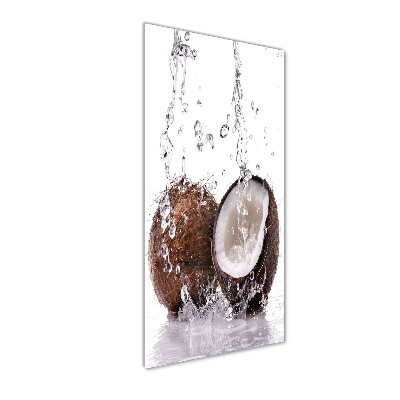 Tableau photo sur verre Noix de coco