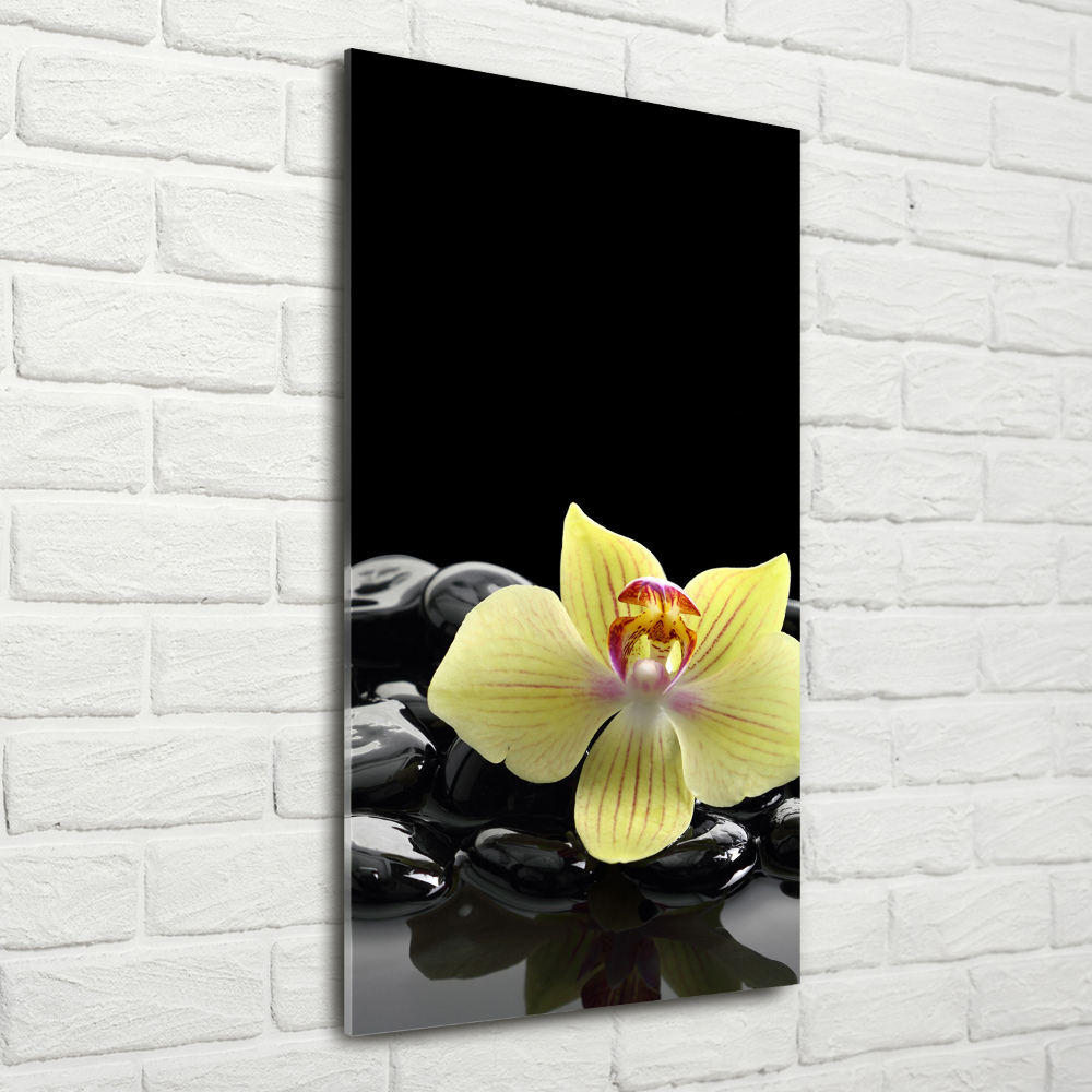 Tableau imprimé sur verre Orchidée et pierres