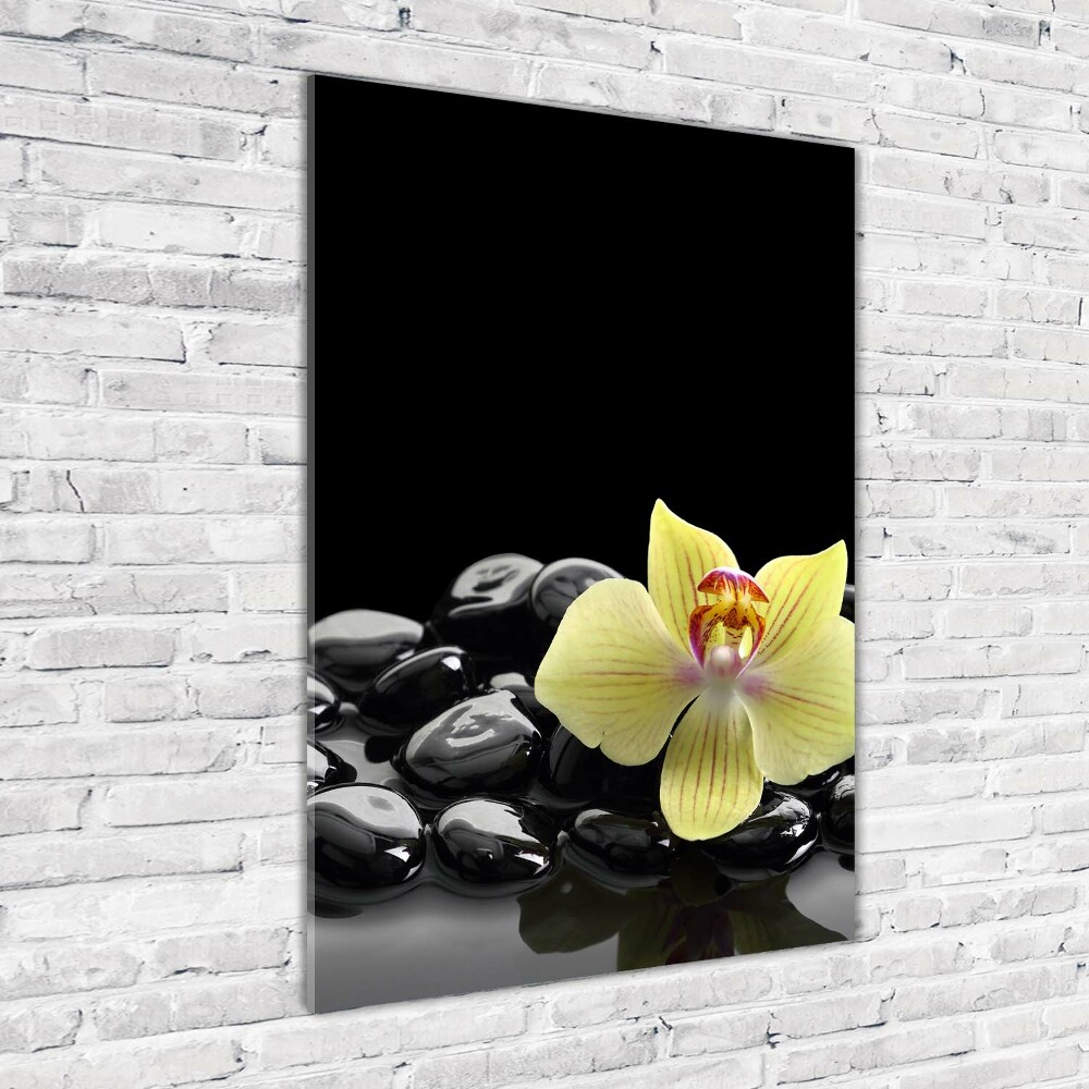 Tableau imprimé sur verre Orchidée et pierres