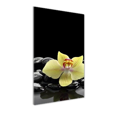 Tableau imprimé sur verre Orchidée et pierres