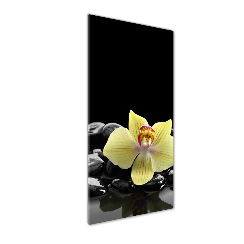 Tableau imprimé sur verre Orchidée et pierres