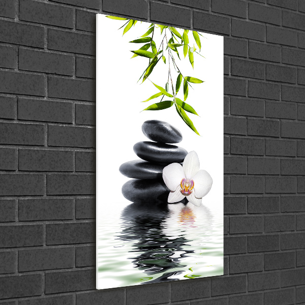 Tableau sur verre Orchidée et pierres feuilles