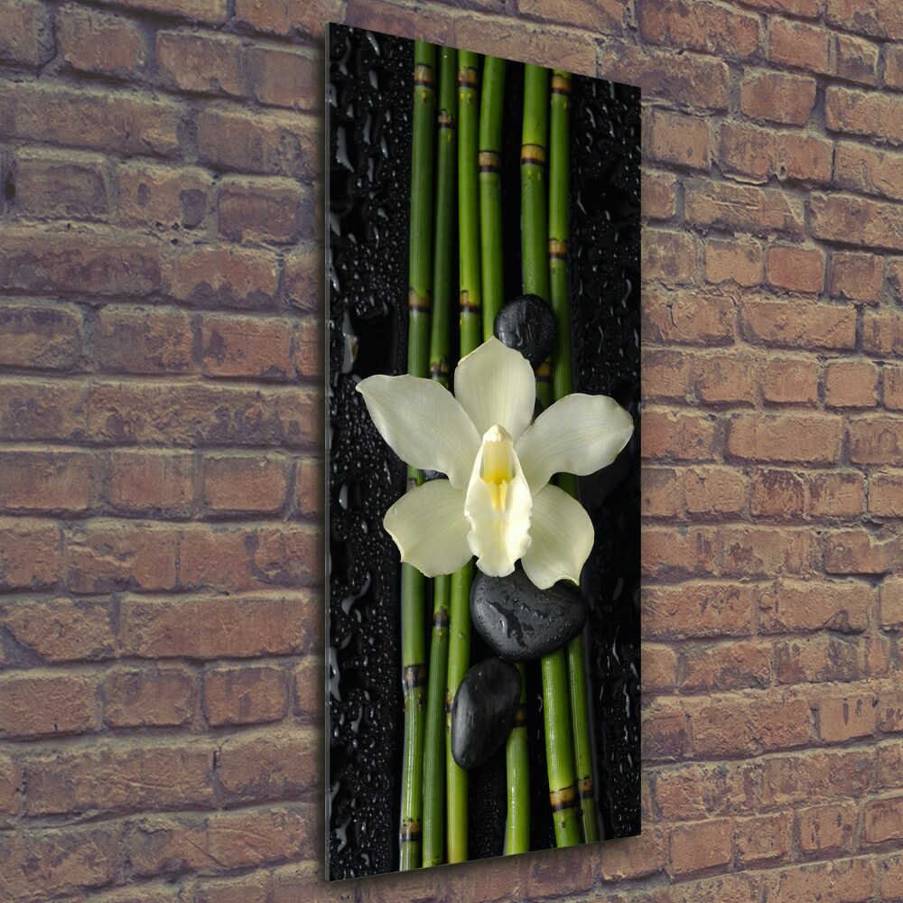 Tableau photo sur verre Orchidée et bambou